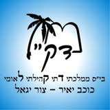 סמל דקל כוכב יאיר